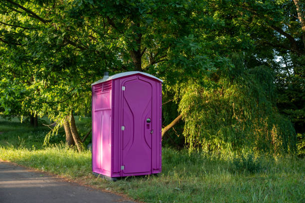 Best Luxury portable toilet rental  in Harrington, DE